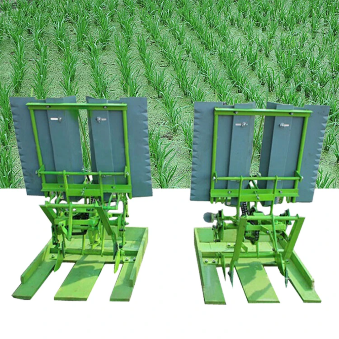 Repiqueuse Manuelle du riz à deux rang - Image 3