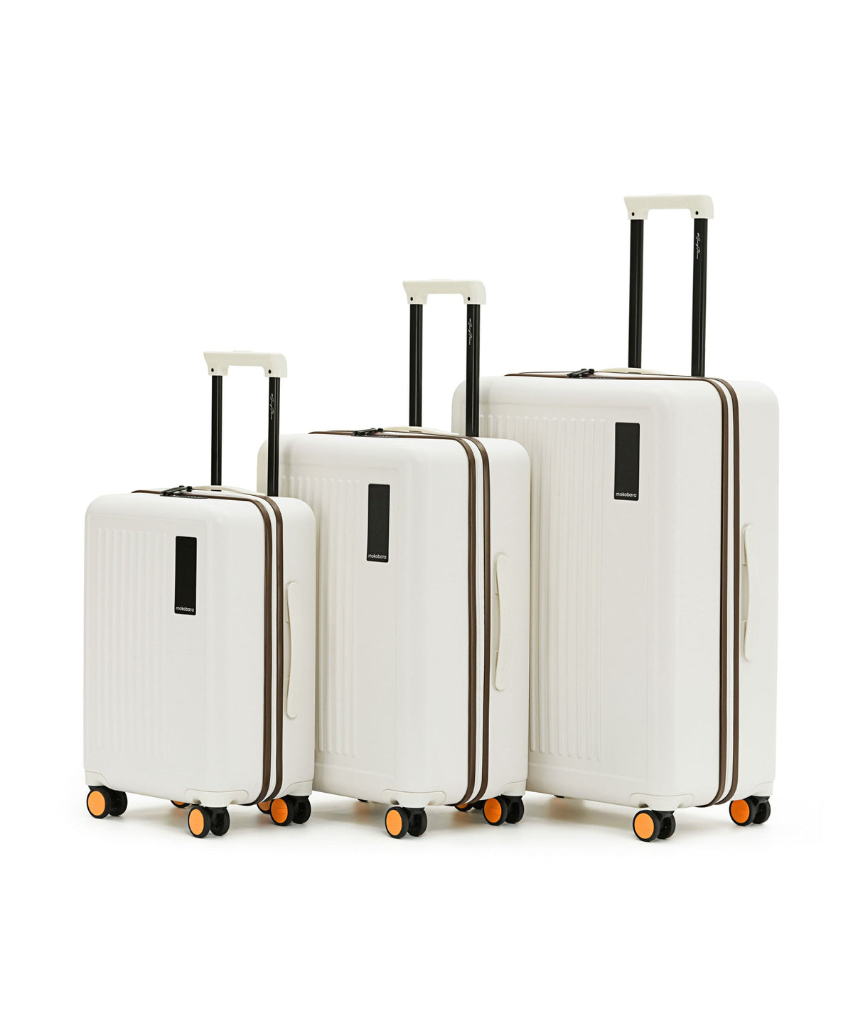 Valise de voyage