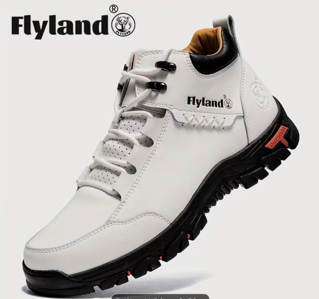 Chaussure FLYLAND F7728 pour homme