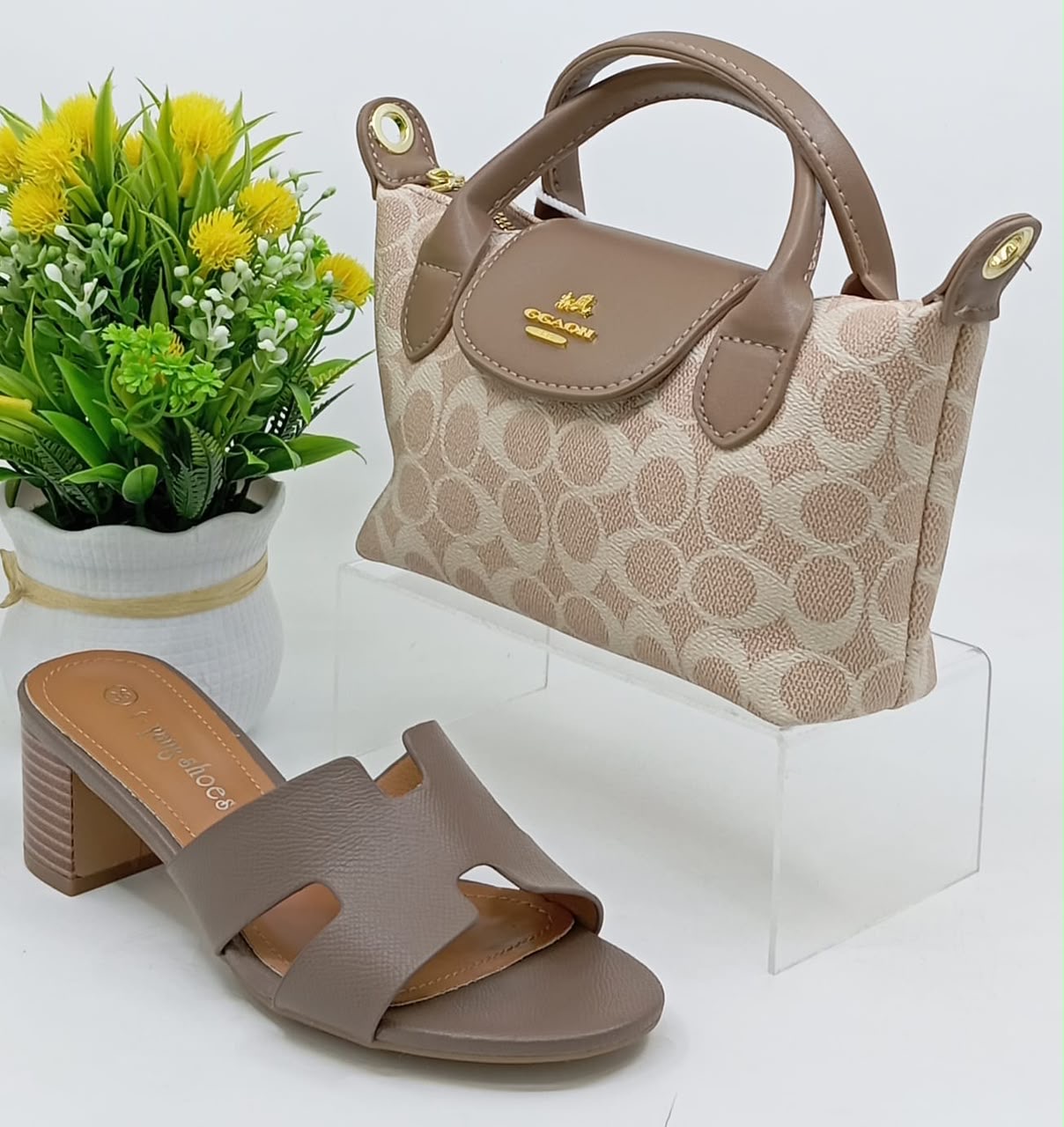 Ensemble sac à main et chaussures