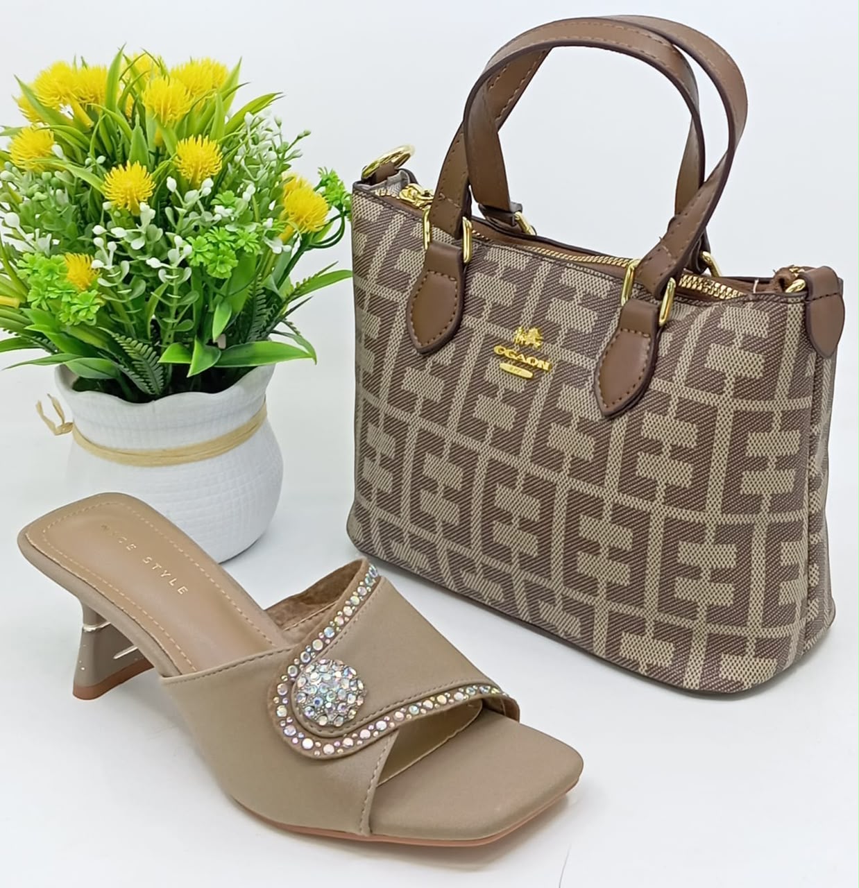 Ensemble sac à main et chaussures