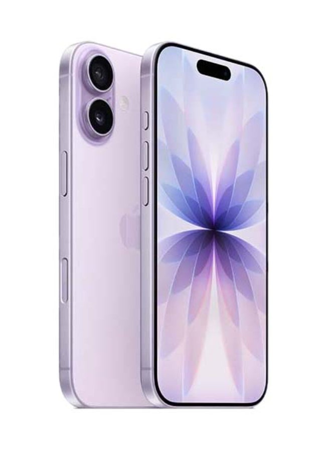 iPhone 17 (256 Go) Version internationale