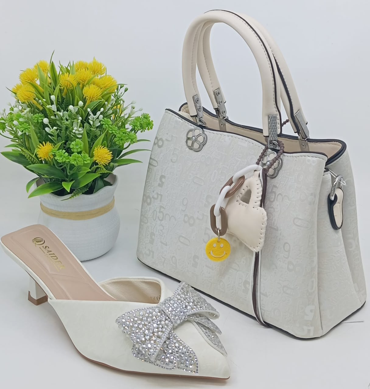 Ensemble sac à main et chaussures